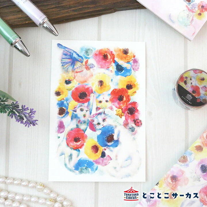 楽天市場 メール便対応可 ポストカード Kyou Wa Donna Hi いろ とり どり 猫 ねこ ハガキ 絵葉書 メッセージ 文房具 ステーショナリー かわいい おしゃれ 花 水彩 ギフト 贈り物 動物 とことこサーカス てまりのおうち とことこ雑貨店
