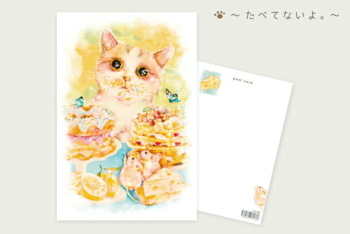 楽天市場 メール便対応可 ポストカード Kyou Wa Donna Hi たべてないよ 猫 ねこ ハガキ 絵葉書 文房具 ステーショナリー イラスト 水彩 かわいい おしゃれ お菓子 ギフト 贈り物 動物 とことこサーカス てまりのおうち とことこ雑貨店 楽天市場 メール便対応可 ポストカード Kyou Wa Donna Hi たべてないよ 猫 ねこ ハガキ 絵葉書 文房具 ステーショナリー イラスト 水彩 かわいい おしゃれ お菓子 ギフト 贈り物 動物 とことこサーカス てまりのおうち とことこ雑貨店