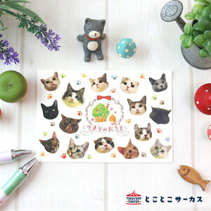【メール便対応可】ポストカード『第1回総選挙』猫/ねこ/ハガキ/絵葉書/メッセージ/文具/ステーショナリー/かわいい/おしゃれ/写真/ギフト/贈り物/動物/とことこサーカス/てまりのおうち/