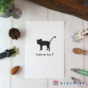 y[֑Ήz|XgJ[hwI'm a catxL/˂/nKL/Gt/bZ[W//Xe[Vi[/킢//ʐ^/Mtg/蕨//ƂƂT[JX/Ă܂̂/