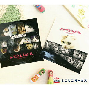 y[֑ΉzXebJ[wjEgCWxL/˂/V[/Xe[Vi[/킢//ʐ^/Mtg/蕨//Aj}/ƂƂT[JX/Ă܂̂/