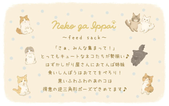 楽天市場 メール便対応可 マスキングテープ ネコがいっぱい Feed Sack 猫 ねこ マステ mm幅 文房具 ステーショナリー かわいい ピンク おしゃれ イラスト ギフト 贈り物 動物 とことこサーカス てまりのおうち とことこ雑貨店