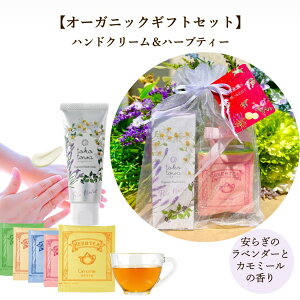 y I[KjbN nhN[ x_[  J~[ ̍z&yn[ueB[zMtgZbg v[g a oYj nhet ێ  ŁEۂ̎r ̂ q