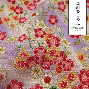 a n FT ʂ߂ ɍ (S4F) 10cmP ؂蔄