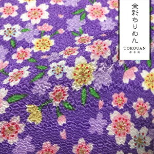 a n FT ʂ߂ J (S7F) 10cmP ؂蔄