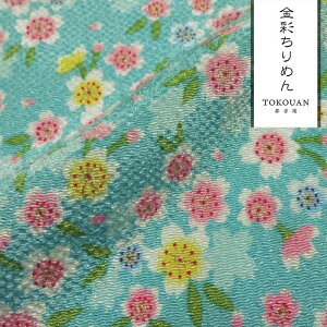 a n FT ʂ߂ J (S7F) 10cmP ؂蔄