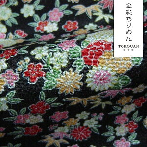 a n FT ʂ߂ Ԑs (S5F) 10cmP ؂蔄