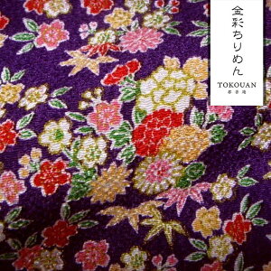 a n FT ʂ߂ Ԑs (S5F) 10cmP ؂蔄