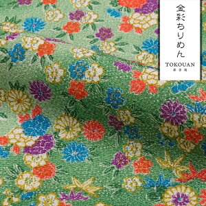 a n FT ʂ߂ Ԑs (S5F) 10cmP ؂蔄