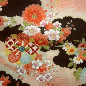 a n  z߂  (S5F) 10cmP ؂蔄