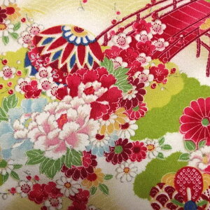 a n  z߂  (S5F) 10cmP ؂蔄