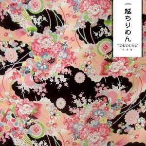 a n  z߂ E (S4F) 10cmP ؂蔄