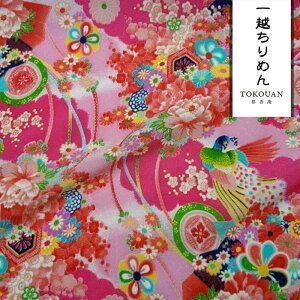 a n  z߂ E (S4F) 10cmP ؂蔄