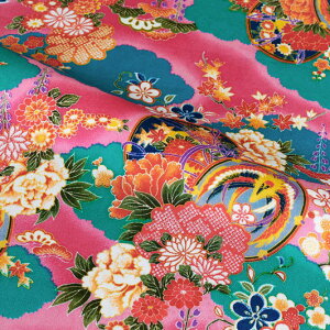 a n  z߂  (EV) 10cmP ؂蔄