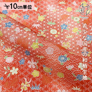 a n FT ʂ߂ ԕ 10cmP ؂蔄