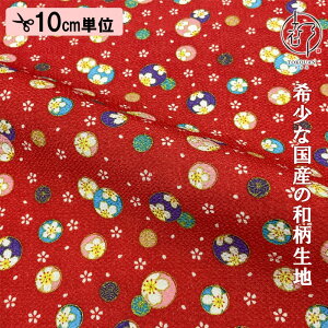 a n FT ʂ߂ t{ 10cmP ؂蔄