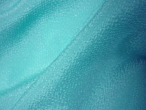 a n S߂ n vdl (S22F) 10cmP ؂蔄