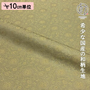 a n MD jq Pjq 10cmP ؂蔄