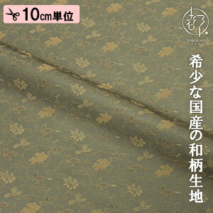 a n MD jq ӑԕ 10cmP ؂蔄