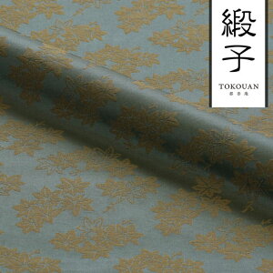 a n  jq gt 10cmP ؂蔄