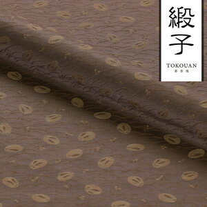 a n MD jq e (F) 10cmP ؂蔄