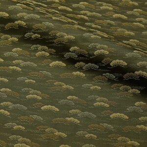 a n MD jq } 10cmP ؂蔄