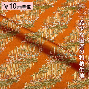 yVF (Ԟ) ǉIza n En s wD 돼|~ (S2F) 10cmP ؂蔄