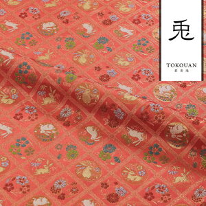 a n En s wD Hiqeە (g) 10cmP ؂蔄