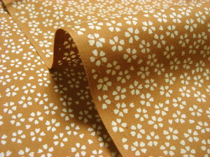 a n  ߂񐶒n  N (炵) 1mP ؂蔄