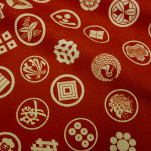 a n  ߂񐶒n ۖ () 1mP ؂蔄