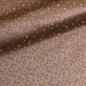 a n s wD  ї  (gF) 10cmP ؂蔄