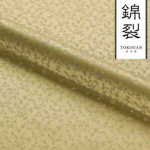a n s wD  ї  (K) 10cmP ؂蔄