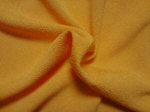 a n ߂ n (S27F) 10cmP ؂蔄