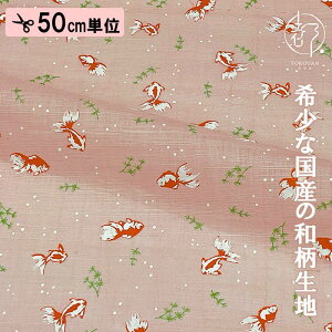 a n {  (S4F) 50cmP ؂蔄