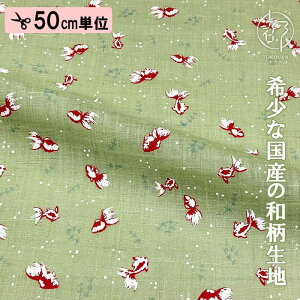 a n {  (S4F) 50cmP ؂蔄