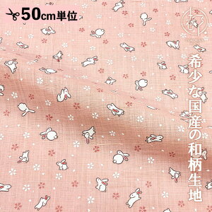 a n {  (S7F) 50cmP ؂蔄