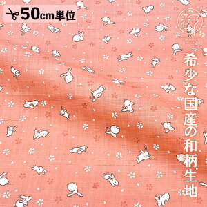 a n {  (S7F) 50cmP ؂蔄