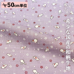 a n {  (S7F) 50cmP ؂蔄