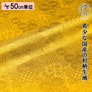 a n s dq  Ƌe (S9F) ЉHȂ 50cmP ؂蔄