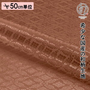 a n s dq   (S13F) ЉHȂ 50cmP ؂蔄