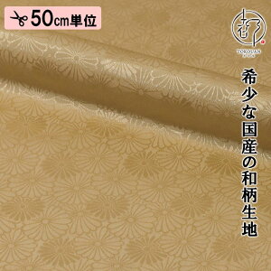 a n s dq  es (S6F) ЉHȂ 50cmP ؂蔄