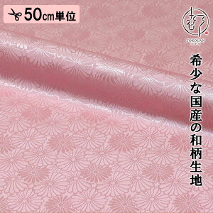 a n s dq  es (S6F) ЉHȂ 50cmP ؂蔄