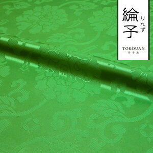 a n GXe dq  O (S5F) 50cmP ؂蔄