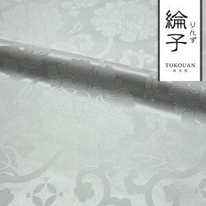 a n GXe dq  O (S5F) 50cmP ؂蔄