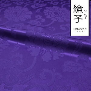 a n GXe dq  O (S5F) 50cmP ؂蔄