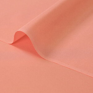 a n   (S21F) 10cmP ؂蔄