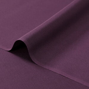 a n   (S21F) 10cmP ؂蔄