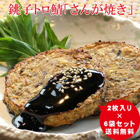 【今ならポイント2倍】【送料無料】 鯖さんが焼き6袋セット 鯖 さば サバ レトルト 魚介 シーフード 食品 加工品 練り物 おかず おつまみ グルメ お取り寄せ 銚子 国産 日本製 日持ち 健康食 防災食 酒 ワイン ビール