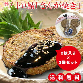【今ならポイント2倍】【送料無料】 鯖さんが焼き2袋セット 鯖 さば サバ レトルト 魚介 シーフード 食品 加工品 練り物 おかず おつまみ グルメ お取り寄せ 銚子 国産 日本製 日持ち 健康食 防災食 酒