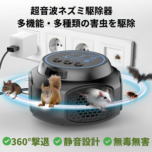 yŐVǔŁzlY~쏜 Q쏜 g dg l SLu  A m~ nG _j VA n` N REΉ 4Xs[J[ ȃGl É  Q 360xS 24ԘA